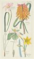 Lot 181 Image