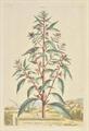 Lot 182 Image