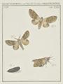 Lot 190 Image