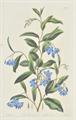 Lot 197 Image