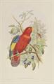 Lot 205 Image