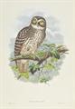 Lot 206 Image