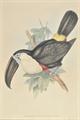 Lot 209 Image