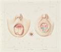 Lot 457 Image