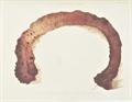 Lot 464 Image