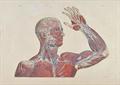 Lot 465 Image
