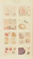 Lot 476 Image