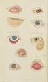 Lot 481 Image