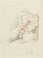 Lot 483 Image