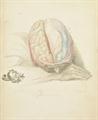 Lot 484 Image