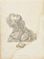 Lot 487 Image