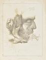 Lot 490 Image