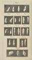 Lot 753 Image