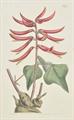 Lot 256 Image