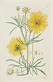 Lot 258 Image