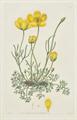 Lot 260 Image