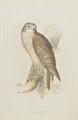 Lot 278 Image