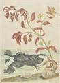 Lot 281 Image
