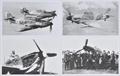 Lot 25 Image