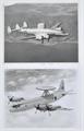 Lot 30 Image