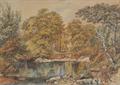 Lot 40 Image