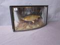 Lot 248 Image