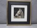 Lot 446 Image