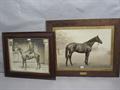 Lot 18 Image