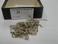 Lot 25 Image