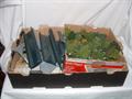 Lot 19 Image