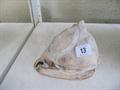 Lot 13 Image