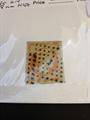 Lot 8 Image