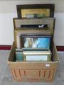 Lot 11 Image