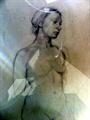 Lot 24 Image