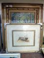 Lot 9 Image