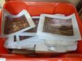 Lot 20 Image