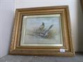 Lot 1 Image