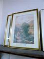 Lot 23 Image
