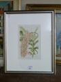Lot 37 Image