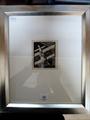 Lot 12 Image