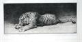 Lot 35 Image