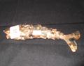 Lot 24 Image