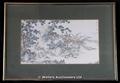 Lot 837 Image