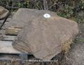 Lot 7 Image