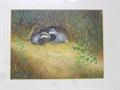 Lot 2 Image