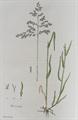 Lot 439 Image