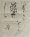 Lot 448 Image