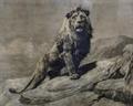 Lot 486 Image