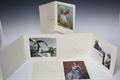 Lot 11 Image