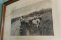 Lot 541 Image
